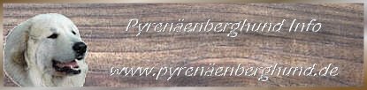 Pyrenenberghund Info02