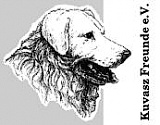kuvasz_Freunde_e__V__edited